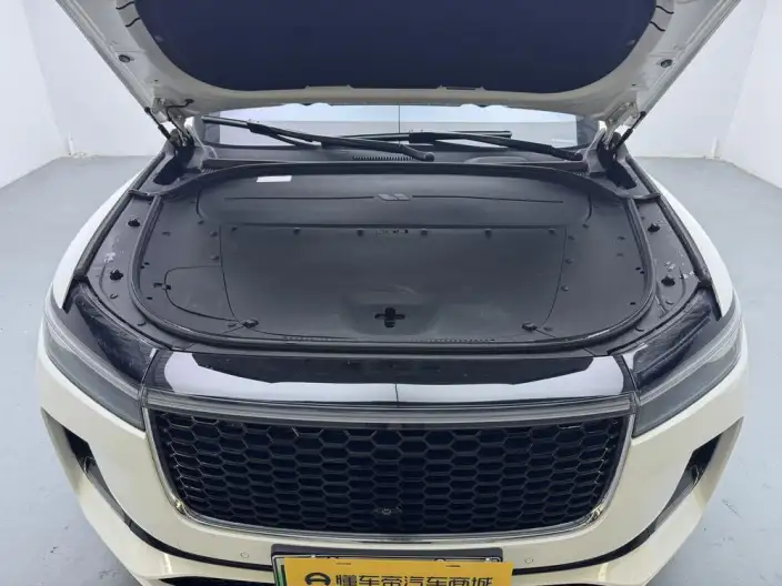 Li Auto ONE 2021 Model Extended Range 6 seat Edition – фото 10