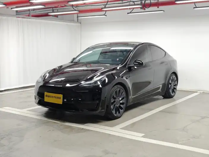 Model Y 2022 Model Performance High performance All-wheel drive version – фото 1