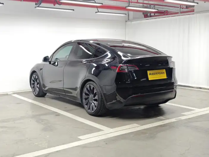 Model Y 2022 Model Performance High performance All-wheel drive version – фото 5