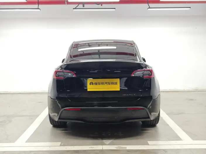 Model Y 2022 Model Performance High performance All-wheel drive version – фото 6