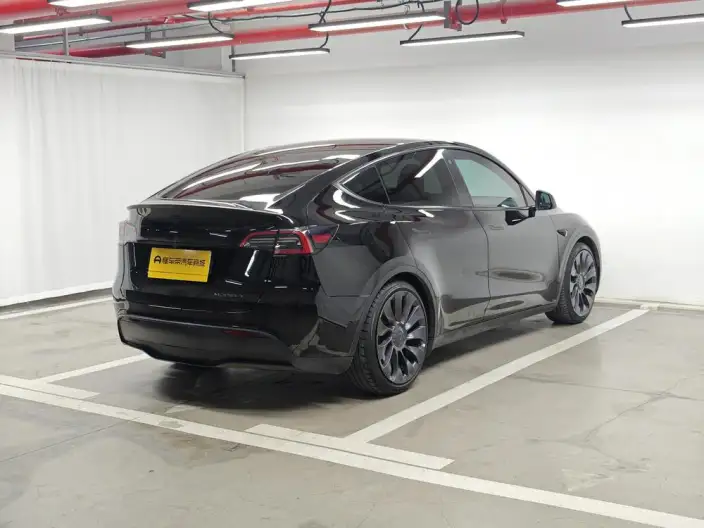 Model Y 2022 Model Performance High performance All-wheel drive version – фото 7