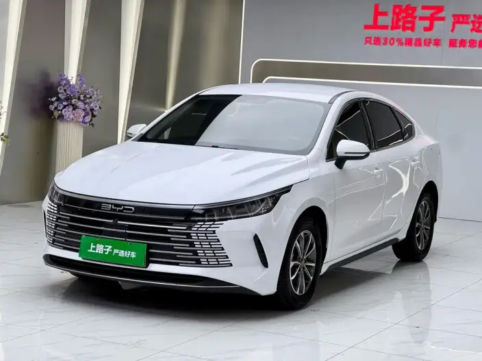 BYD Destroyer 05 2024 Model Honor Edition DM-i 55KM Luxury Model – фото 1