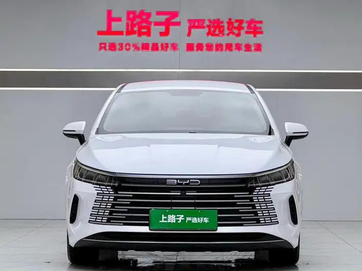 BYD Destroyer 05 2024 Model Honor Edition DM-i 55KM Luxury Model – фото 2