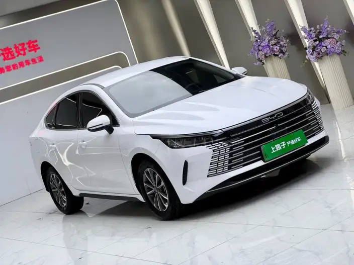 BYD Destroyer 05 2024 Model Honor Edition DM-i 55KM Luxury Model – фото 3