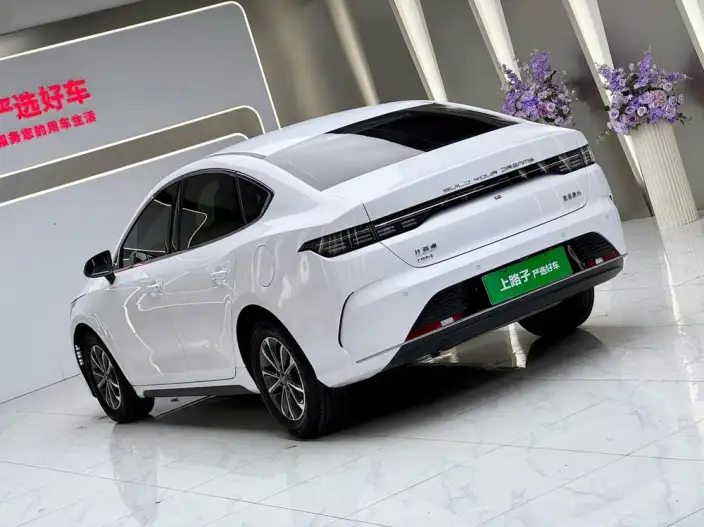 BYD Destroyer 05 2024 Model Honor Edition DM-i 55KM Luxury Model – фото 4