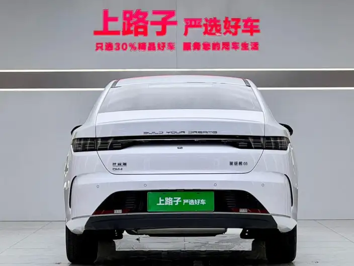 BYD Destroyer 05 2024 Model Honor Edition DM-i 55KM Luxury Model – фото 5