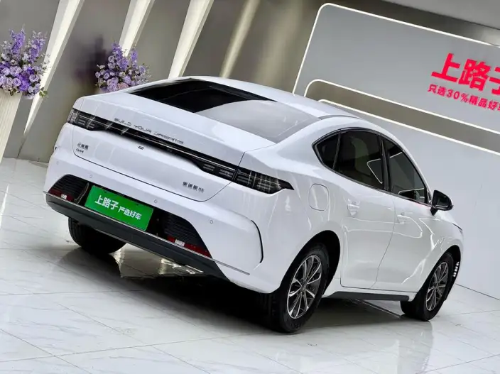 BYD Destroyer 05 2024 Model Honor Edition DM-i 55KM Luxury Model – фото 6