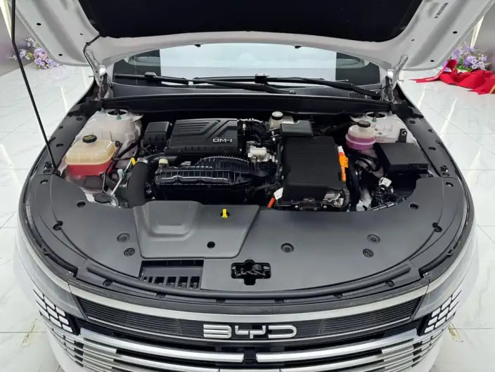 BYD Destroyer 05 2024 Model Honor Edition DM-i 55KM Luxury Model – фото 7