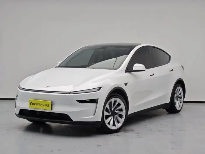 Model Y 2025 Model Rear-wheel drive version – фото 1