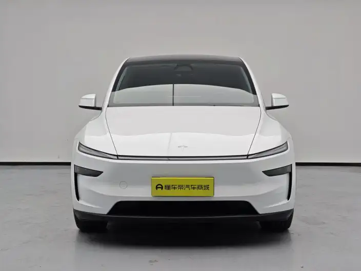 Model Y 2025 Model Rear-wheel drive version – фото 2