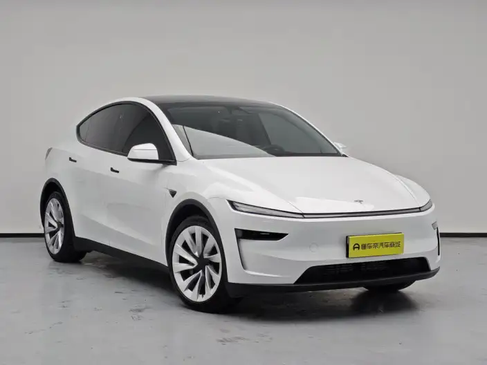 Model Y 2025 Model Rear-wheel drive version – фото 3