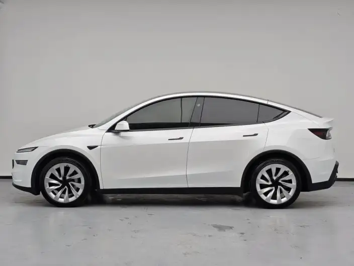 Model Y 2025 Model Rear-wheel drive version – фото 4
