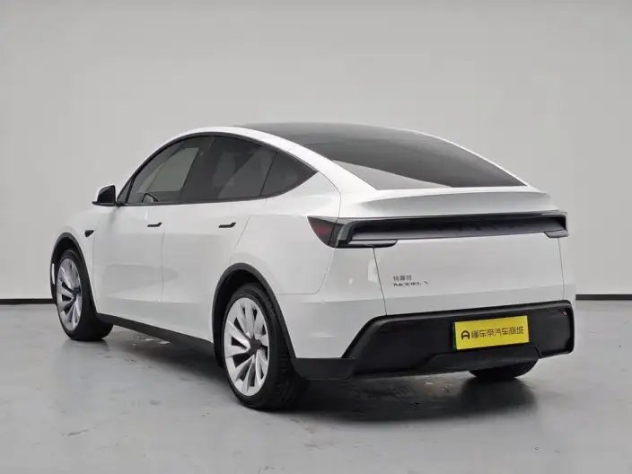 Model Y 2025 Model Rear-wheel drive version – фото 5