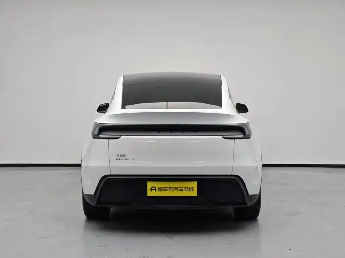 Model Y 2025 Model Rear-wheel drive version – фото 6