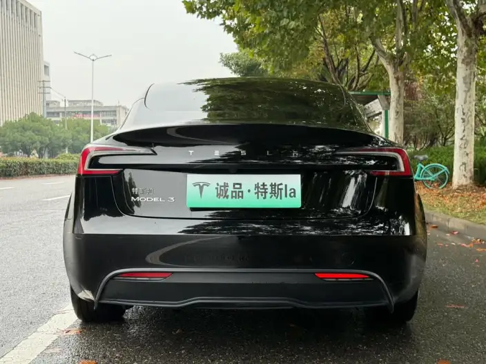 Model 3 2023 Model Rear-wheel drive version – фото 6