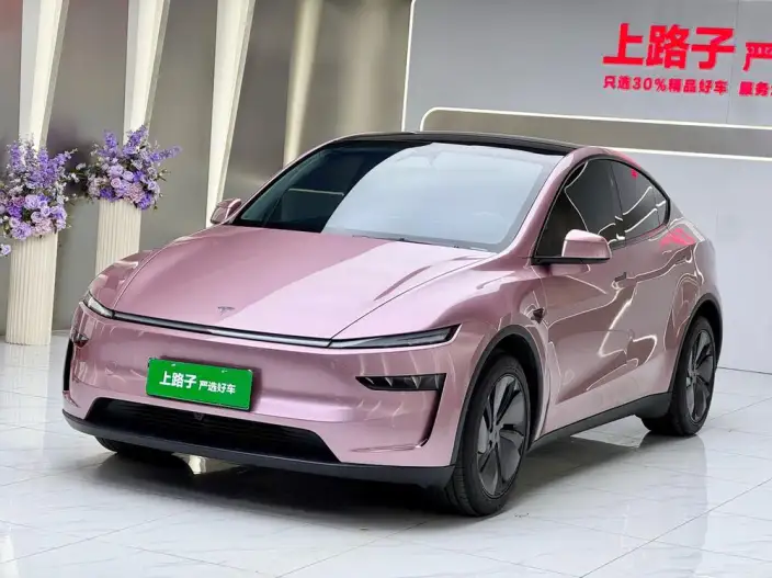 Model Y 2025 Model Rear-wheel drive version – фото 1