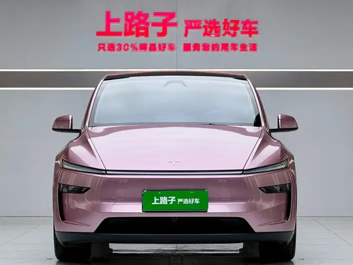 Model Y 2025 Model Rear-wheel drive version – фото 2