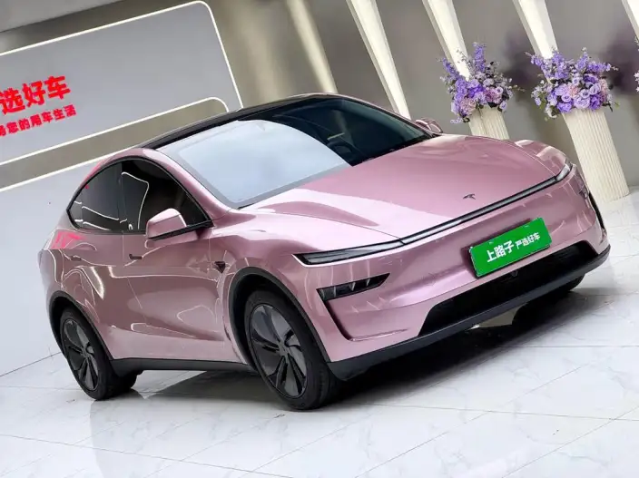 Model Y 2025 Model Rear-wheel drive version – фото 3