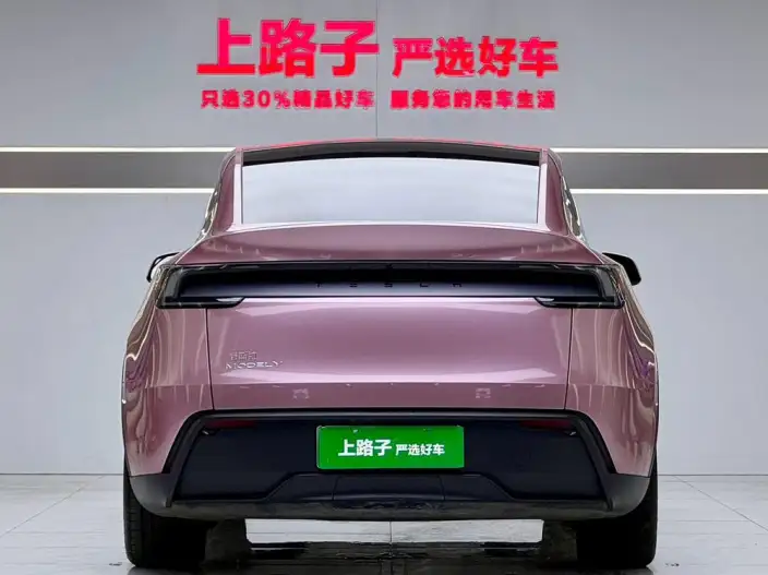 Model Y 2025 Model Rear-wheel drive version – фото 5