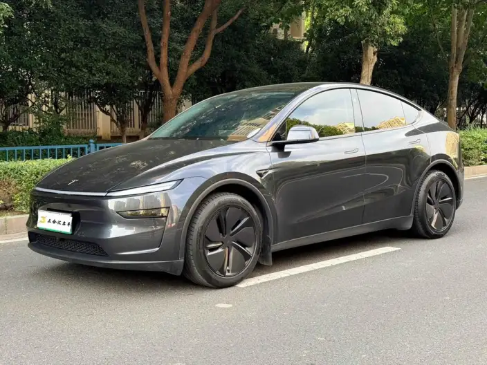 Model Y 2025 Model Long Battery Life Pro Rear-wheel drive version – фото 1