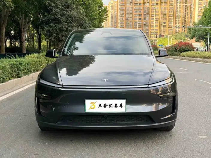 Model Y 2025 Model Long Battery Life Pro Rear-wheel drive version – фото 2
