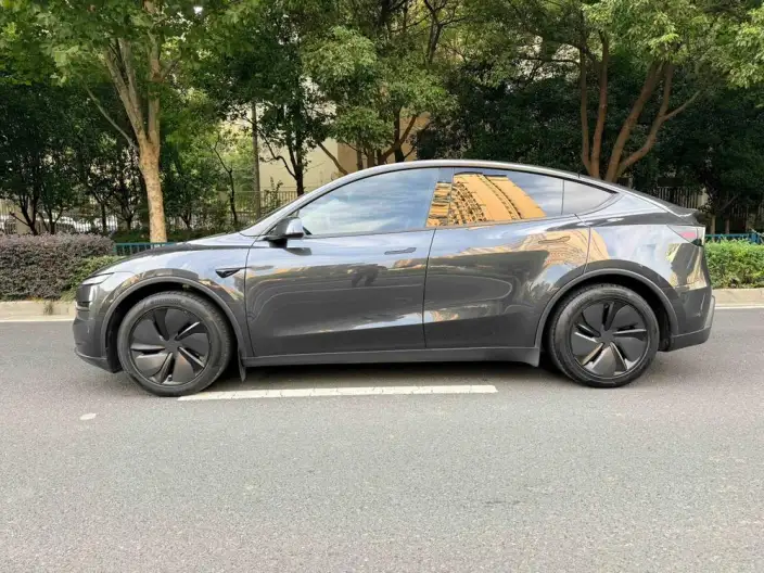 Model Y 2025 Model Long Battery Life Pro Rear-wheel drive version – фото 3