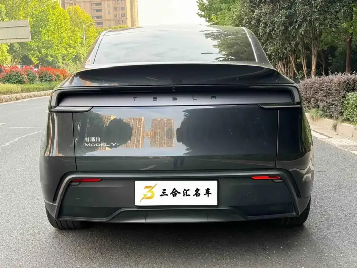 Model Y 2025 Model Long Battery Life Pro Rear-wheel drive version – фото 4
