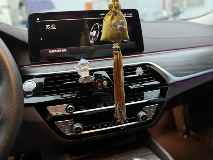 BMW 5 Series 2023 Model 530Li Leading Model Luxury Set – фото 8