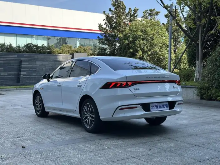 Qin Plus EV 2023 Model Champion Edition 420KM Leading Model – фото 4