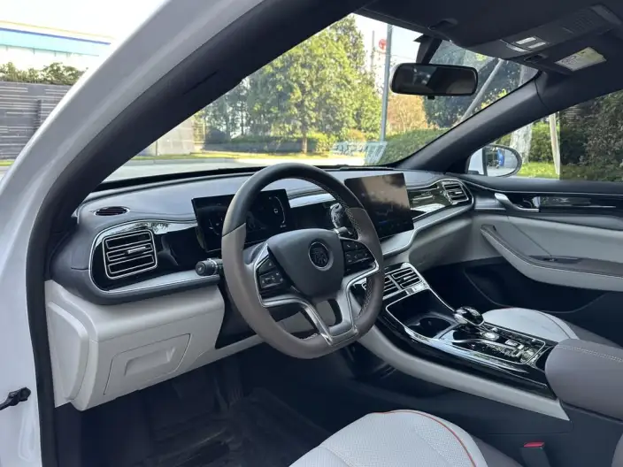 Qin Plus EV 2023 Model Champion Edition 420KM Leading Model – фото 9