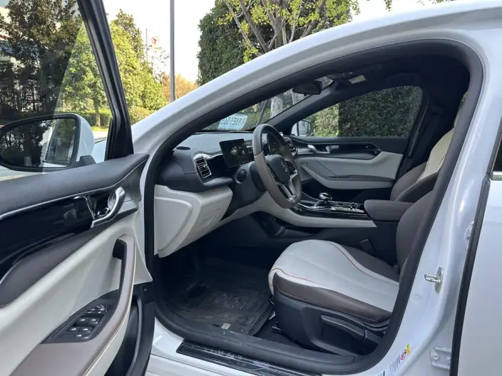 Qin Plus EV 2023 Model Champion Edition 420KM Leading Model – фото 10