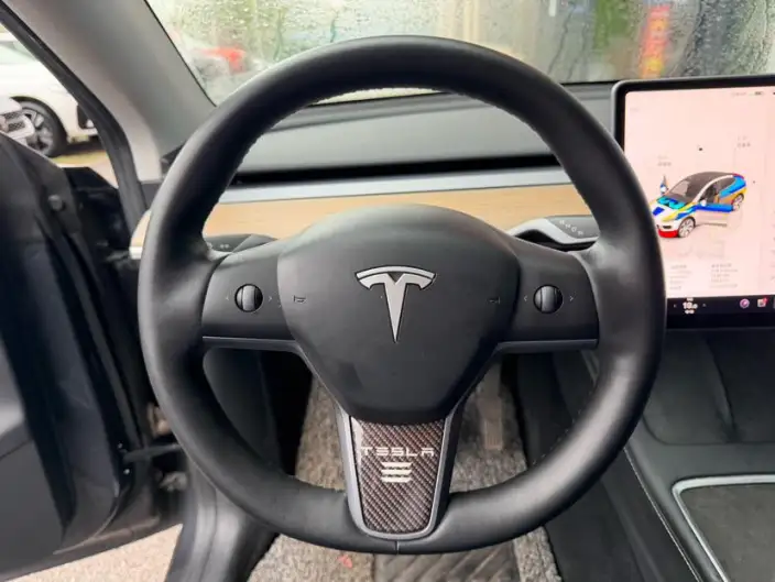 Model Y 2022 Model Facelift Rear-wheel drive version – фото 10