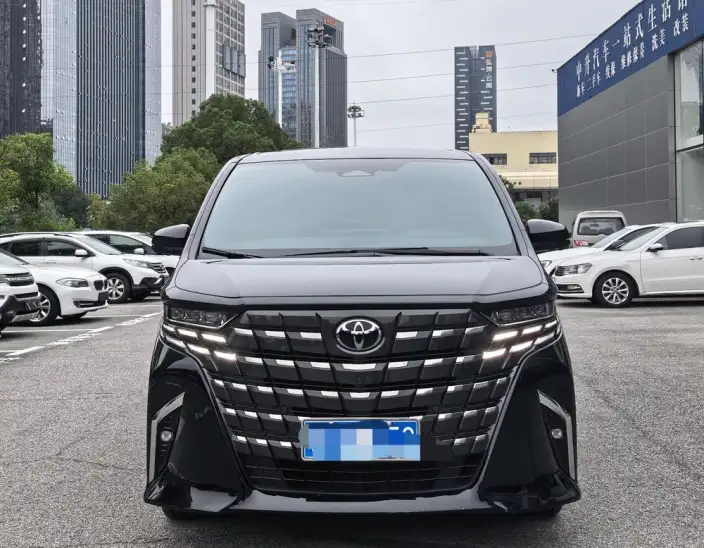 Elfa 2022 Model Hybrid 2.5L Zhen Xiang · Gold Edition – фото 2