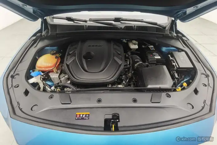 Geely StarRui 2021 Model 2.0T Noble Model – фото 5