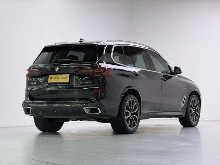 BMW X5 2022 Model Facelift xDrive 30Li Exclusive Model M Sports Set – фото 7