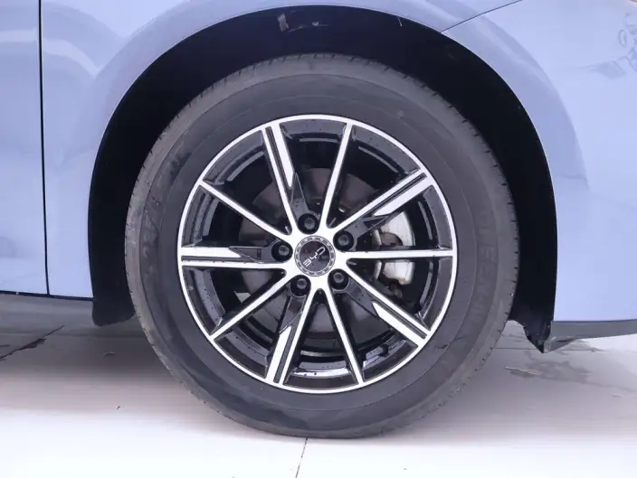 BYD Seal 06 DM 2024 Model DM-i 80KM Noble Model – фото 4