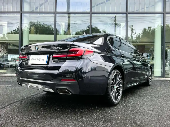 BMW 5 Series 2023 Model 530Li Leading Model M Sports Set – фото 5
