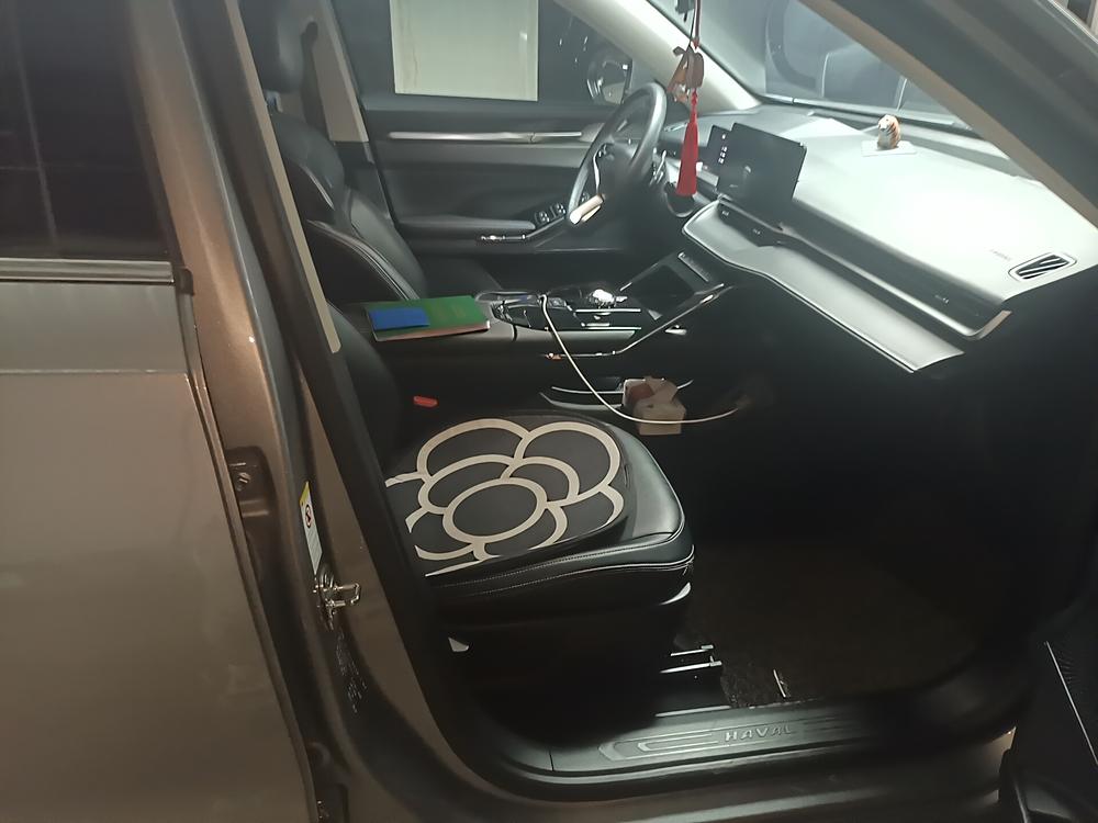Haval H6 2021 3rd Gen 2.0T Automatic 2WD Max – фото 11