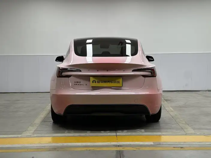 Model 3 2023 Model Rear-wheel drive version – фото 6