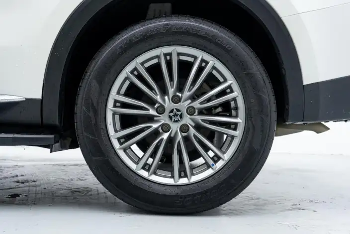 Qichen Star 2022 Model 260T 48V Mild Hybrid Boost Starlight Celebration Edition – фото 9