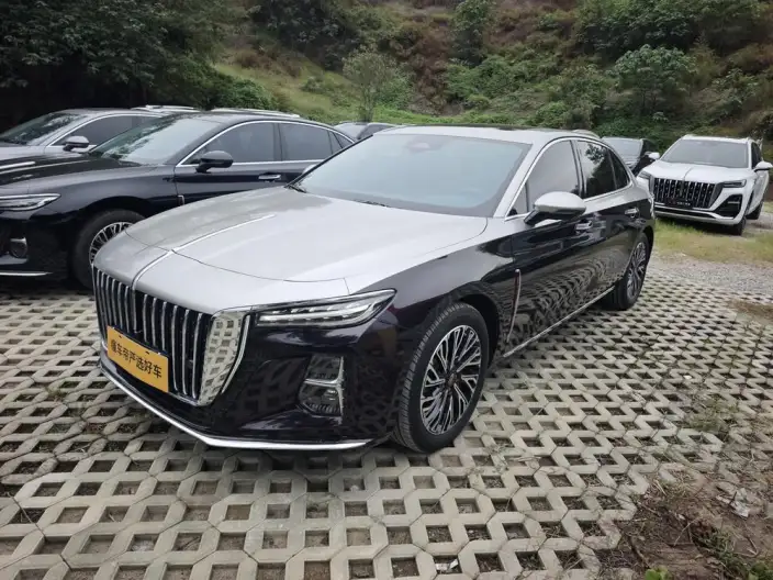 Hongqi H5 2024 Model 2.0T Automatic Flag Enjoy Edition