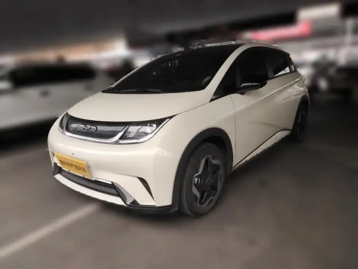 BYD Dolphin 2021 Model Fashion Edition – фото 1