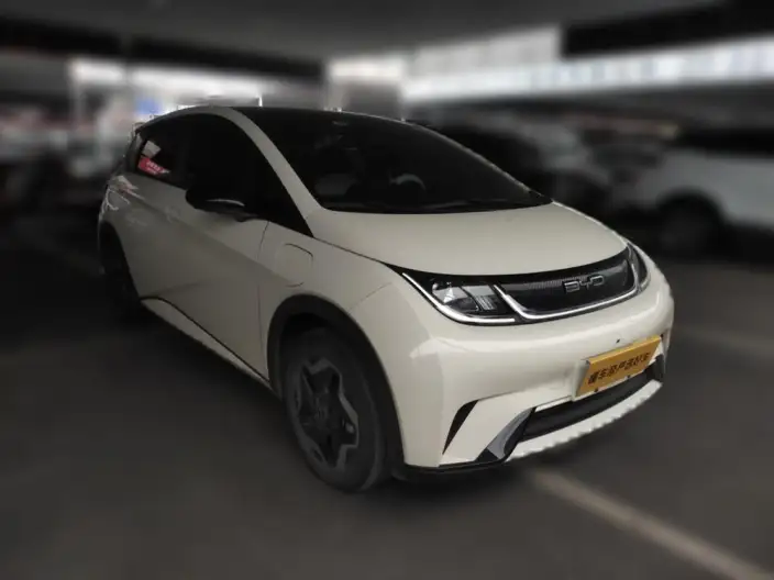 BYD Dolphin 2021 Model Fashion Edition – фото 2