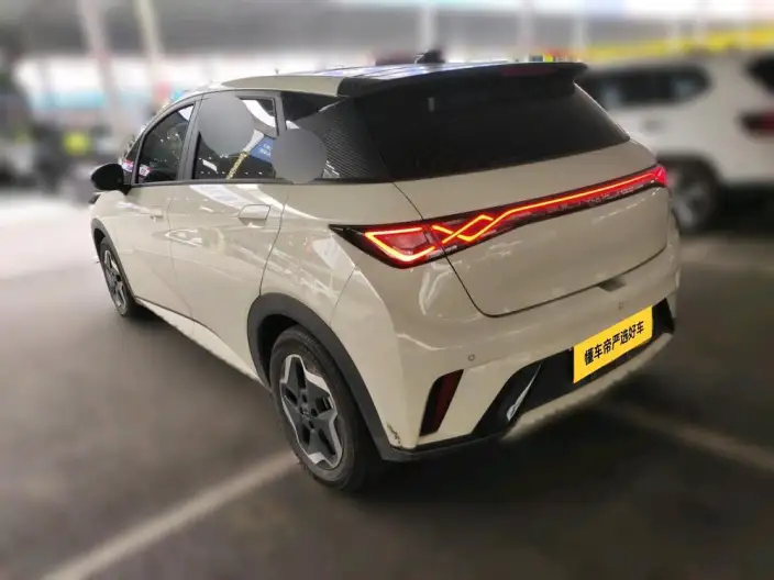 BYD Dolphin 2021 Model Fashion Edition – фото 3