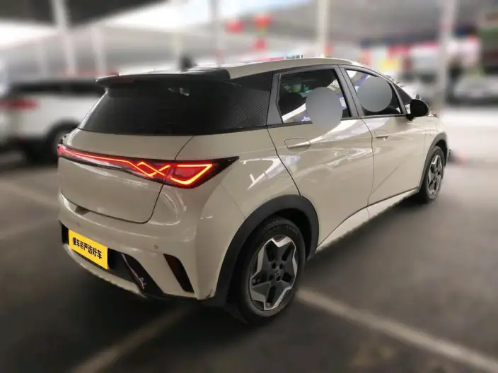 BYD Dolphin 2021 Model Fashion Edition – фото 4