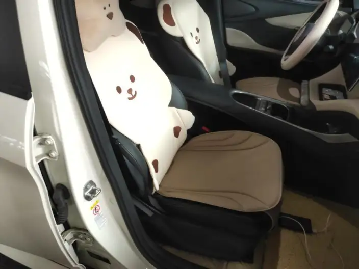 BYD Dolphin 2021 Model Fashion Edition – фото 5