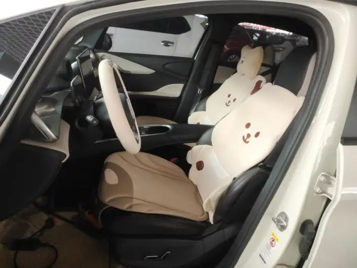 BYD Dolphin 2021 Model Fashion Edition – фото 9