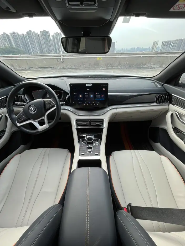 BYD Song PLUS EV 2021 Model Noble Model – фото 9
