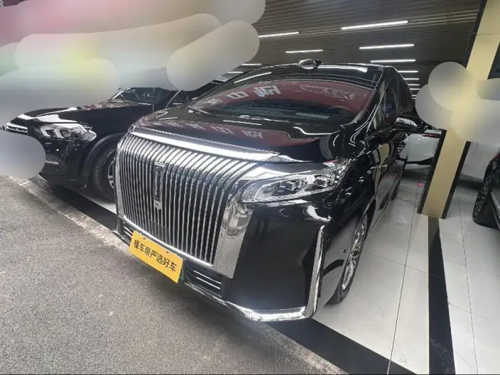 Wey Gaoshan P HEV 2025 Model 4WD Wey Gaoshan 8