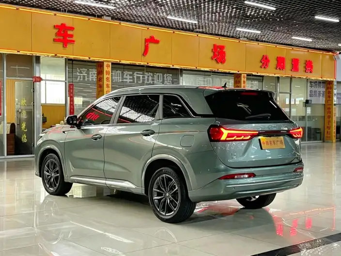 Blue Electric E5 2023 Model 1.5L DE-i Changxiang Edition Model – фото 4